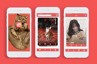 �O(sh��)Ӌ��Ʒ